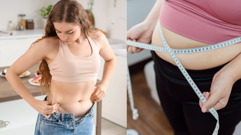 Types of Belly Fat Female Exercise