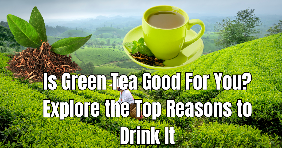 Is Green Tea Good For You? Explore the Top Reasons to Drink It